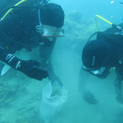 Divers collect dead coral. (Credit S Dalton)